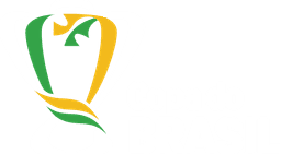 Copa do Brasil